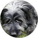 Profilbild von „Dirk Nbauer“