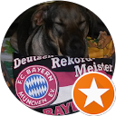 Profilbild von „Marco 13“